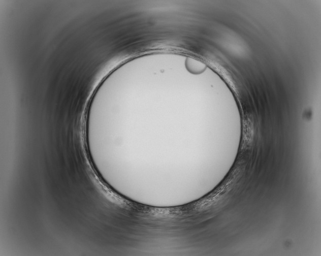 X0000097981098200804211031