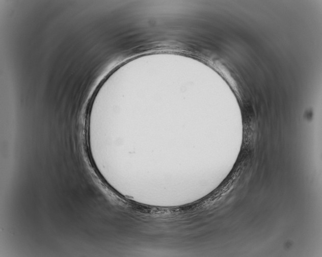 X0000097981099200804211031