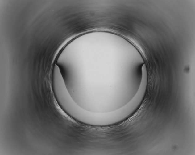 X0000097981100200804211031