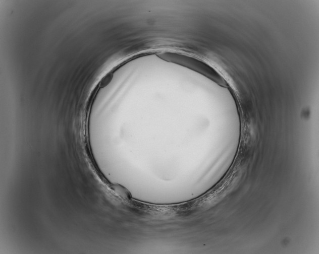 X0000097981101200804211031