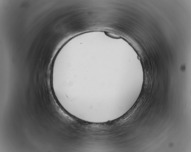 X0000097981102200804211031