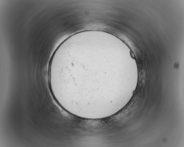 X0000097981103200804211031