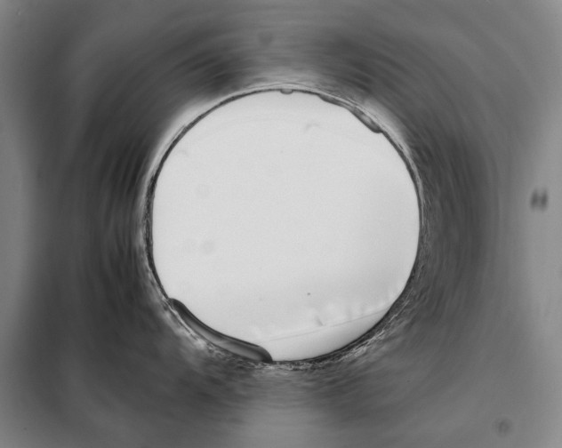 X0000097981104200804211031