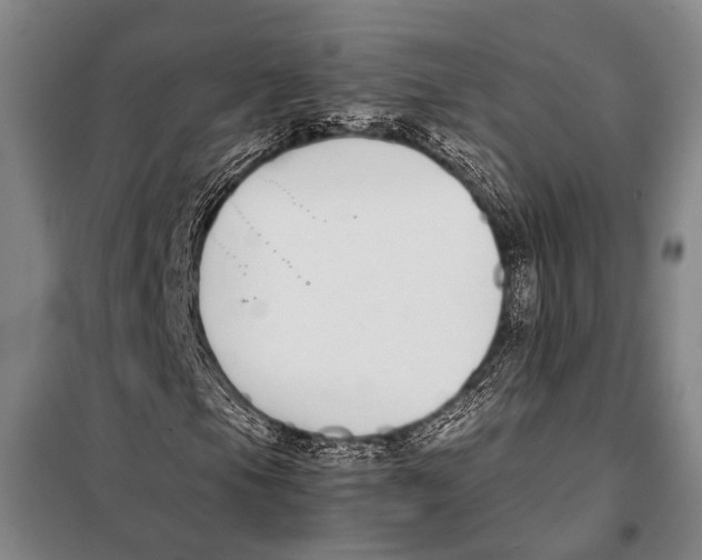 X0000097981105200804211031