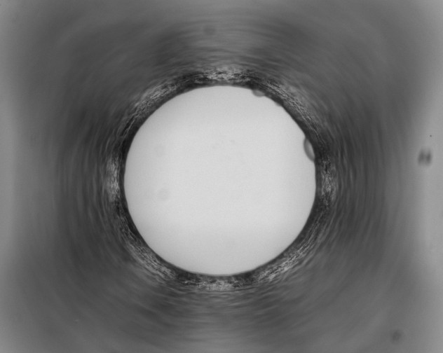 X0000097981106200804211031