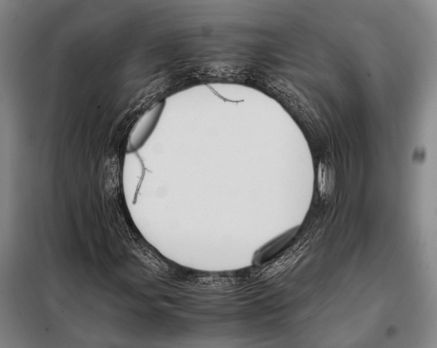 X0000097981107200804211031