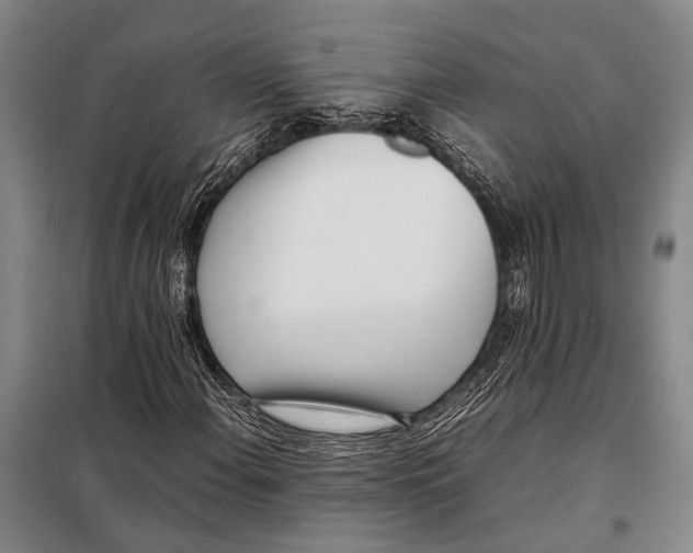 X0000097981108200804211031