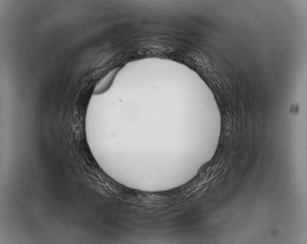 X0000097981109200804211031