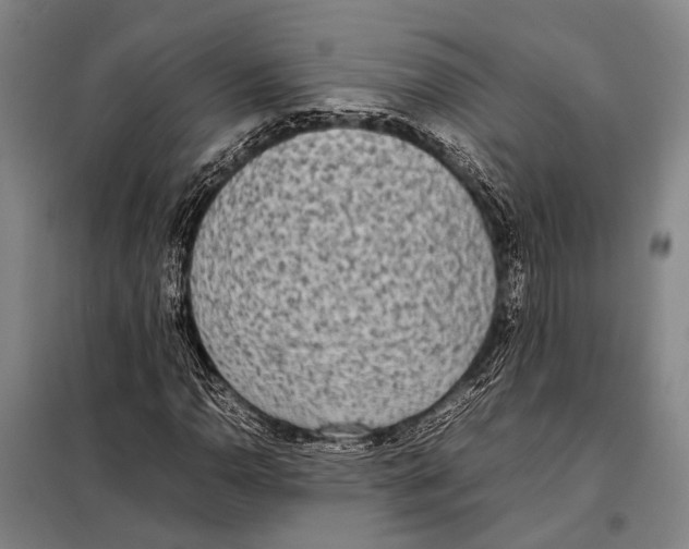 X0000097981110200804211031