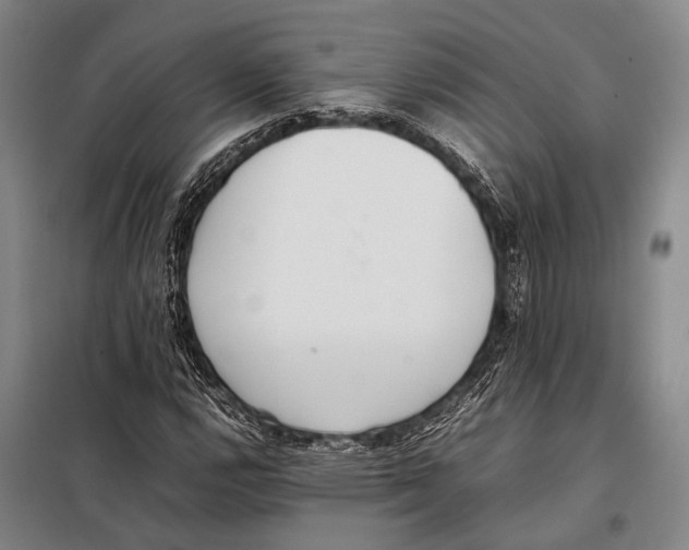 X0000097981112200804211031