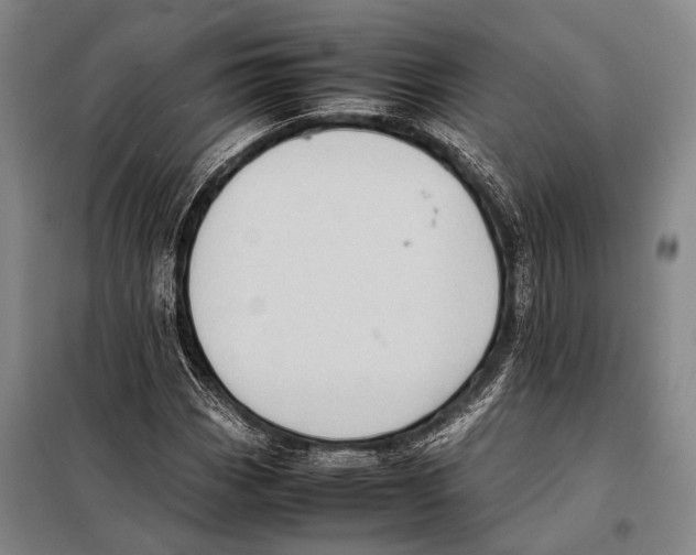 X0000097981113200804211031