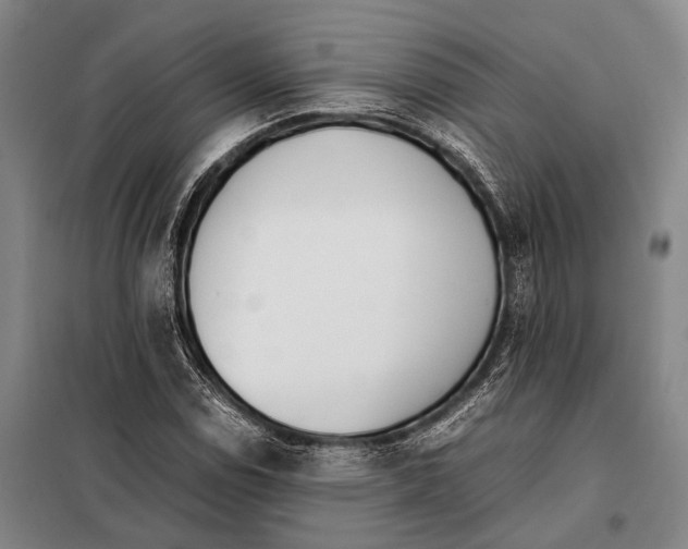 X0000097981114200804211031