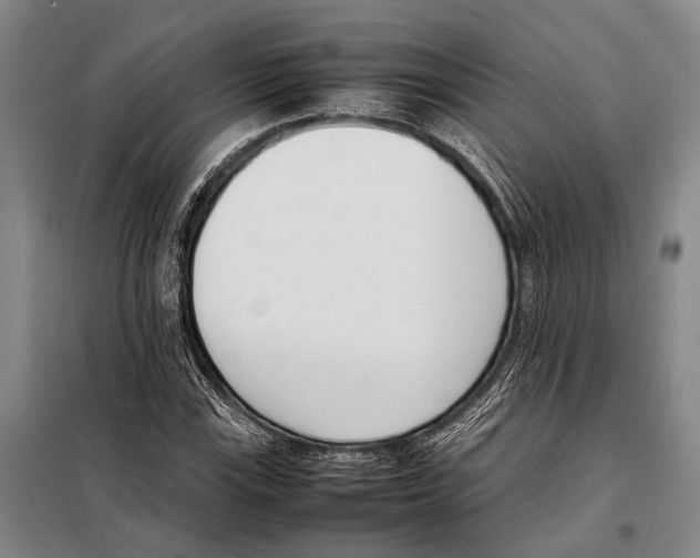 X0000097981115200804211031