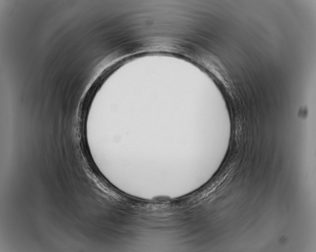 X0000097981116200804211031