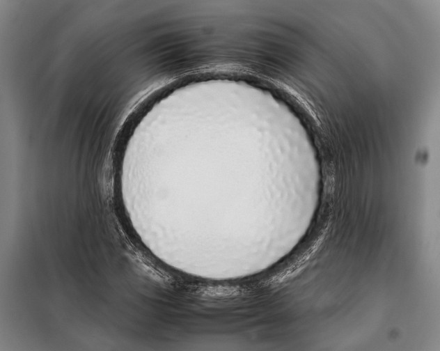 X0000097981117200804211031