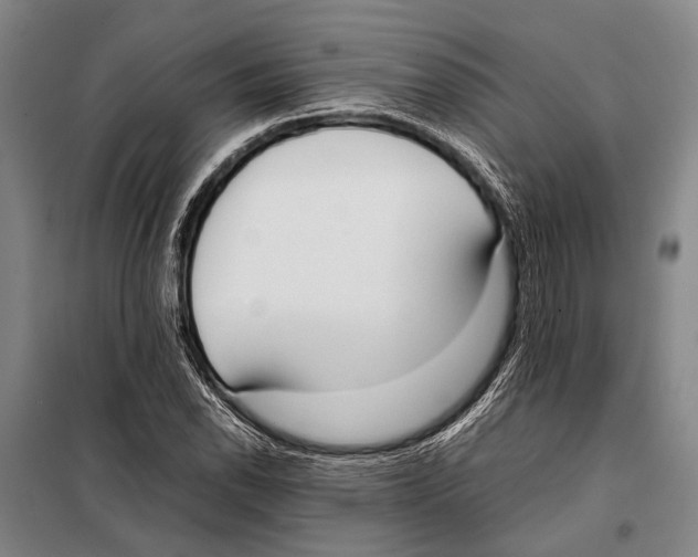 X0000097981118200804211031