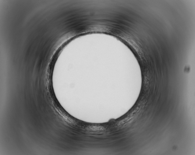 X0000097981119200804211031