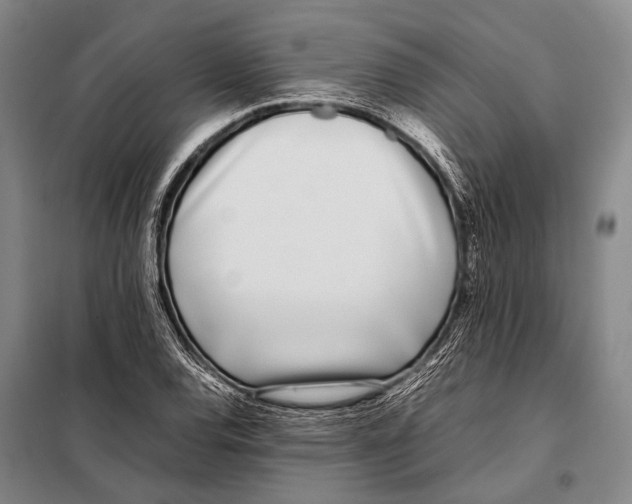 X0000097981120200804211031