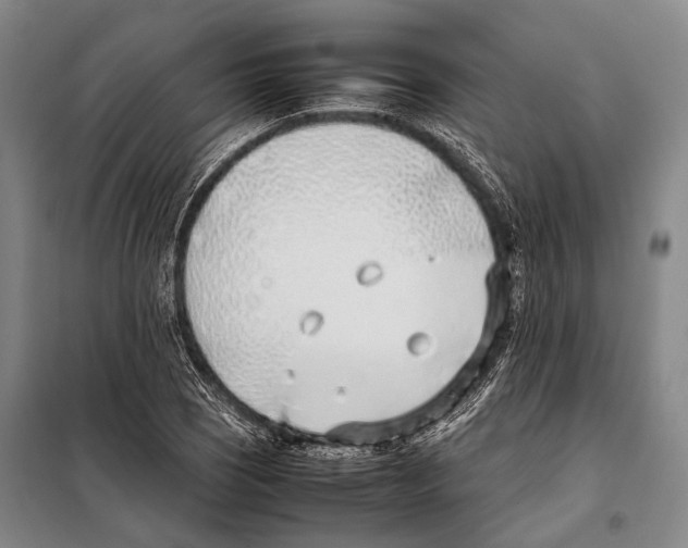 X0000097981121200804211031