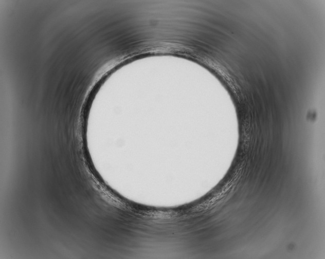 X0000097981122200804211031