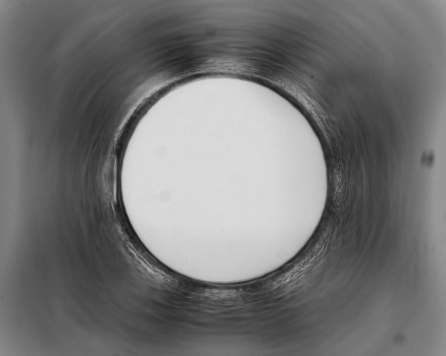 X0000097981123200804211031