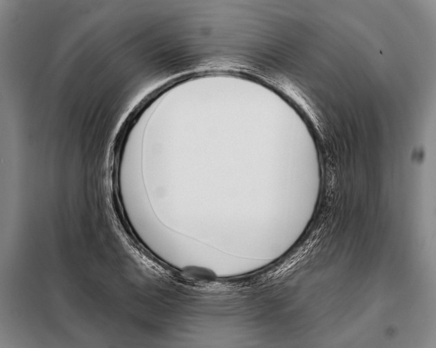 X0000097981124200804211031