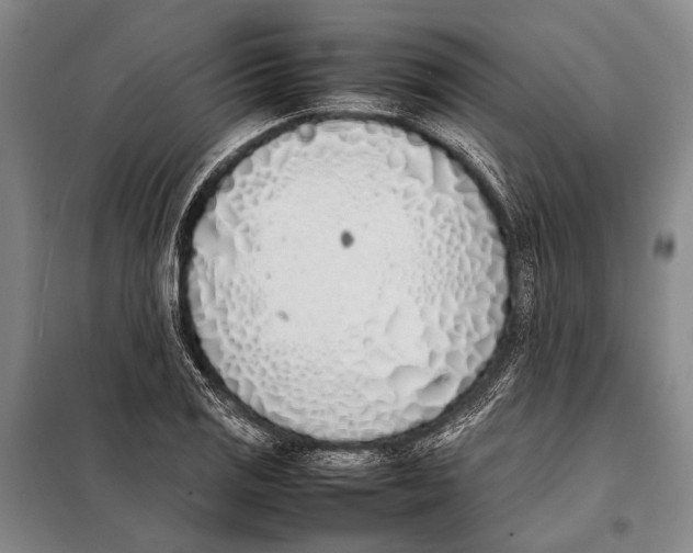 X0000097981125200804211031