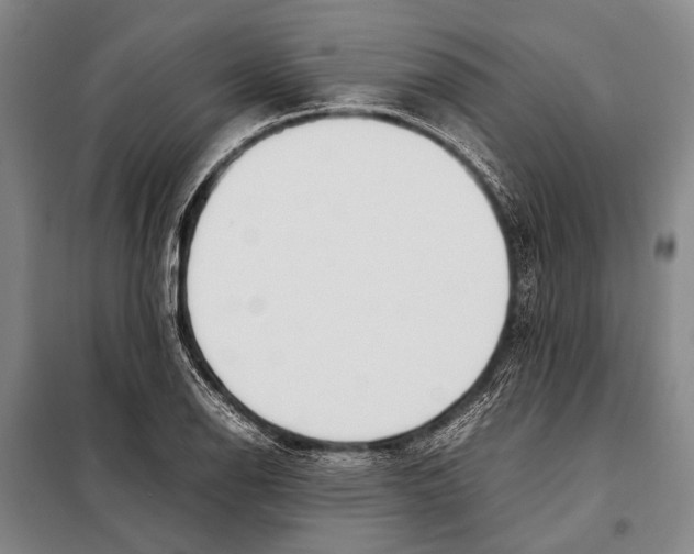 X0000097981126200804211031