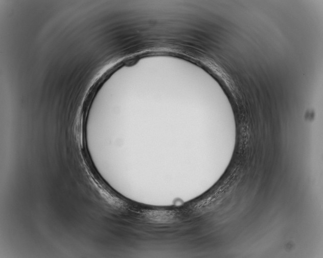 X0000097981127200804211031