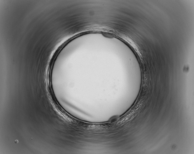 X0000097981128200804211031