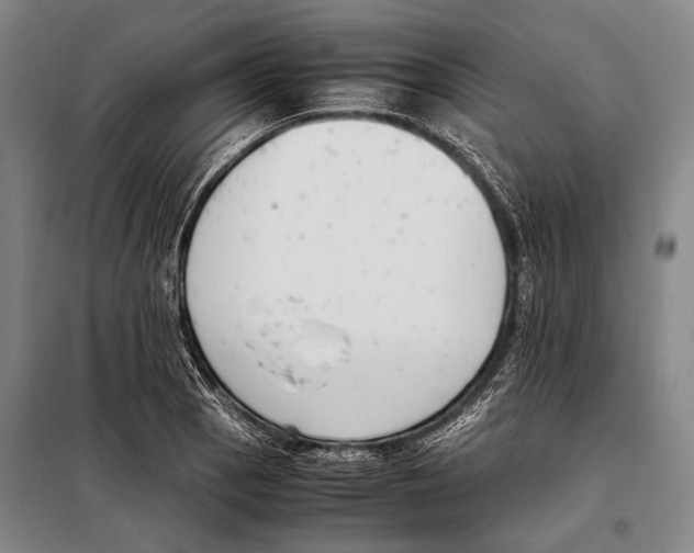 X0000097981129200804211031