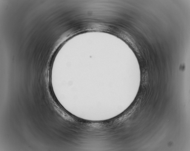 X0000097981130200804211031