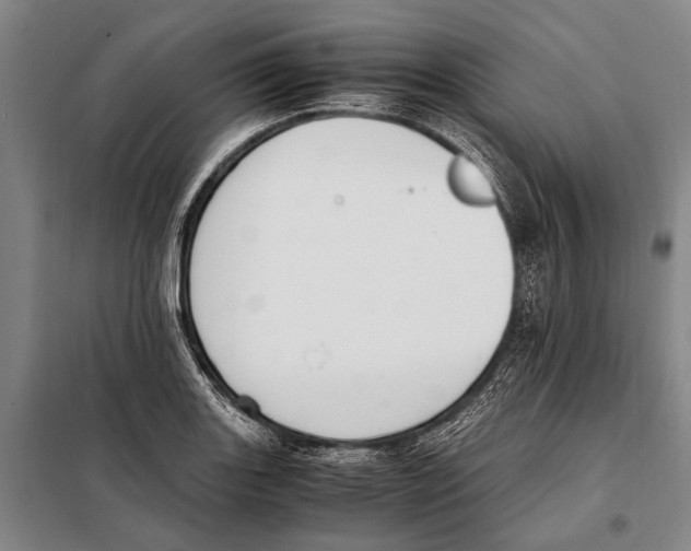 X0000097981131200804211031