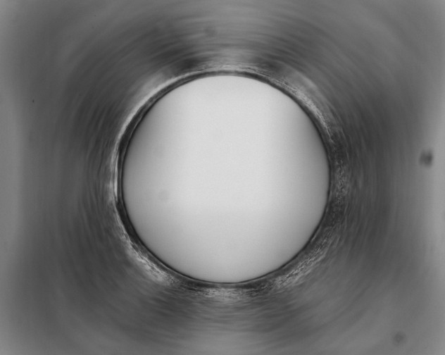 X0000097981132200804211031