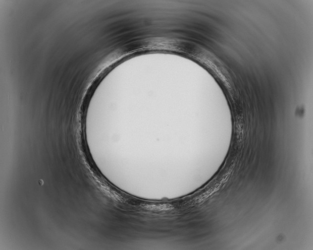 X0000097981133200804211031