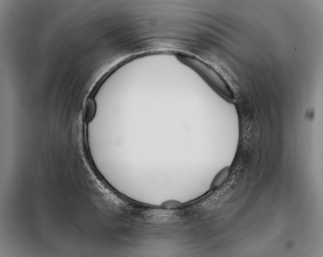 X0000097981134200804211031