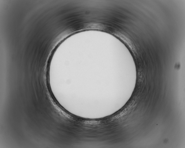 X0000097981135200804211031