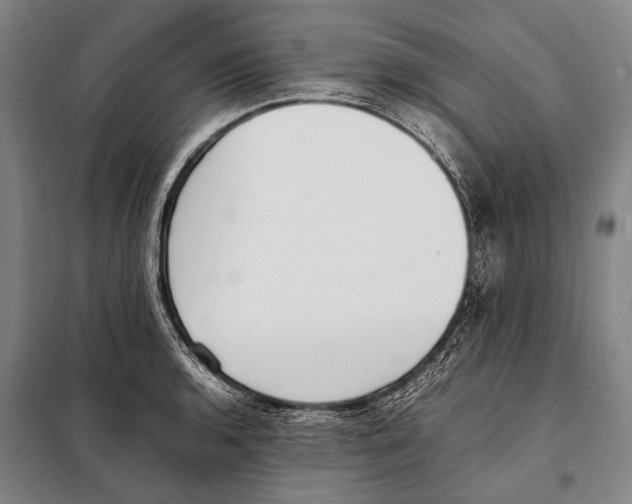 X0000097981136200804211031