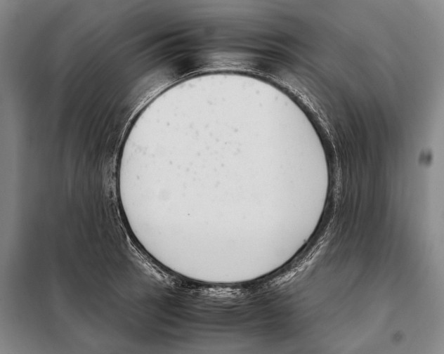 X0000097981137200804211031