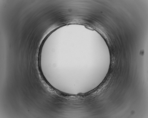 X0000097981138200804211031