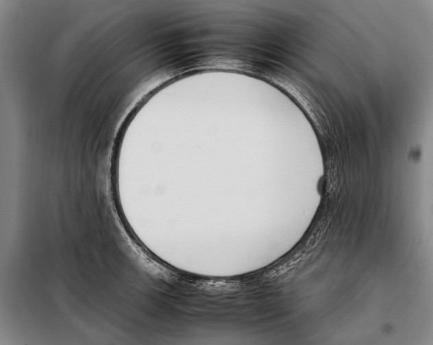 X0000097981139200804211031