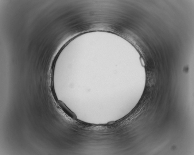 X0000097981140200804211031