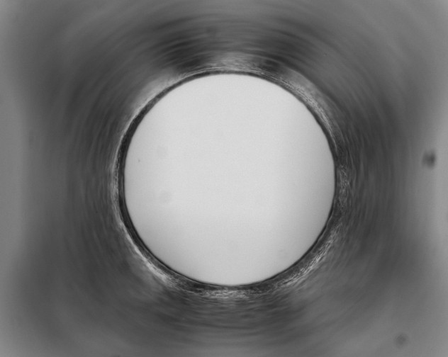 X0000097981141200804211031