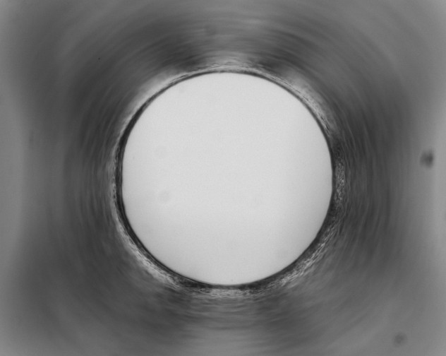 X0000097981142200804211031