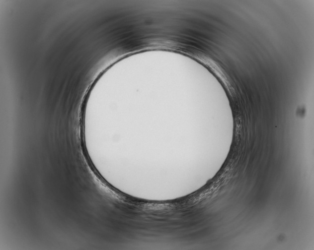 X0000097981143200804211031