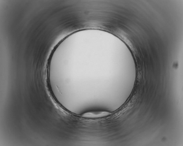 X0000097981144200804211031