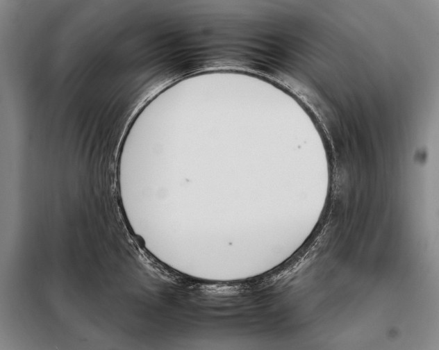 X0000097981145200804211031