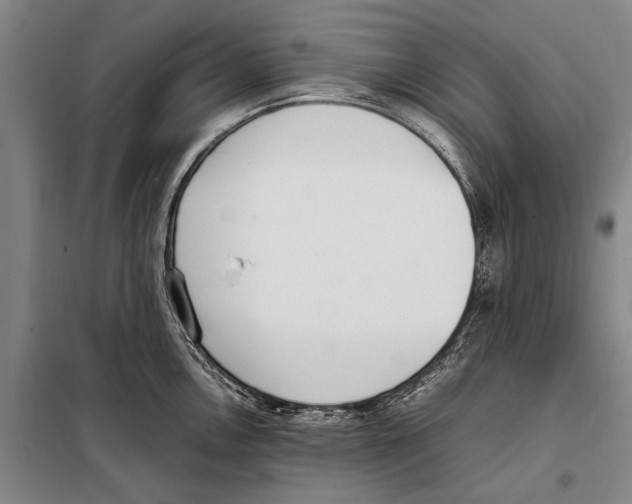 X0000097981146200804211031