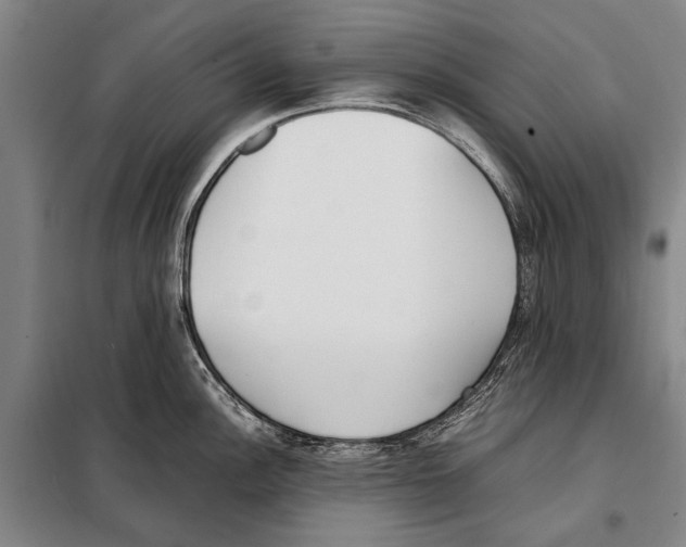 X0000097981148200804211031