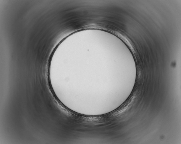 X0000097981149200804211031